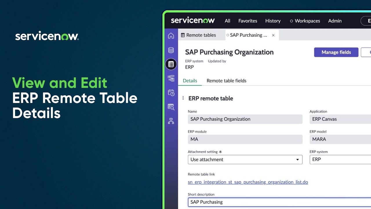 ERP Canvas | View and edit remote table details