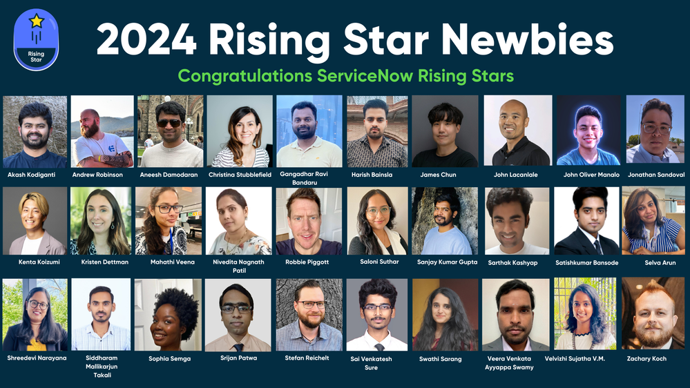 Announcing our newest Rising Stars of 2024