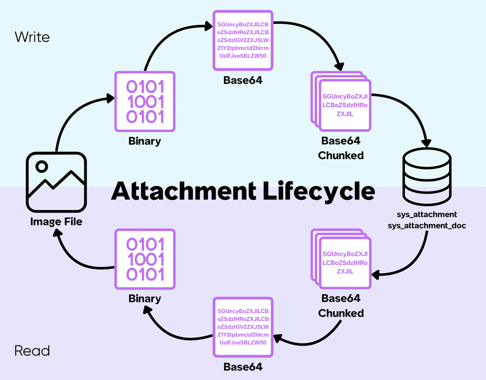 Working with Image Fields and Attachments: Lessons from Processing 130,000 Images