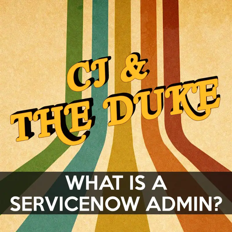 What the hec is a ServiceNow Admin?