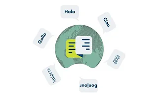 Language translation in ServiceNow using scripts | Sample use-case | DynamicTranslation API