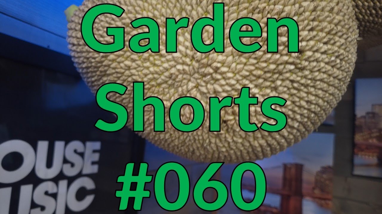 Garden Shorts 060