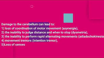 What is cerebellum? What is Hypothalamus?What happens if these gets damaged? | In Hindi | brief exp