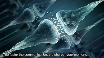 Brain: One confused Organ for Class X , XI , XII , M.B.B.S  | In Hindi | English Subtitle