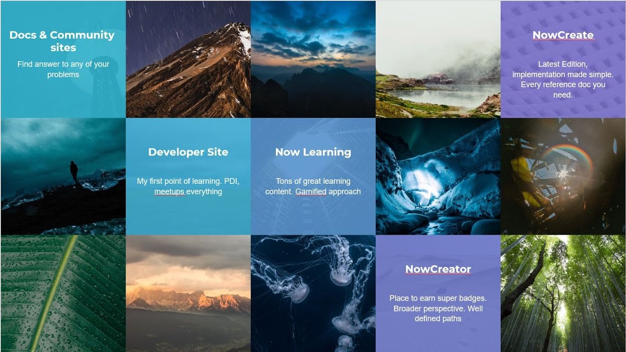 Servicenow Webinar By Dhruv Gupta (About Next Steps)