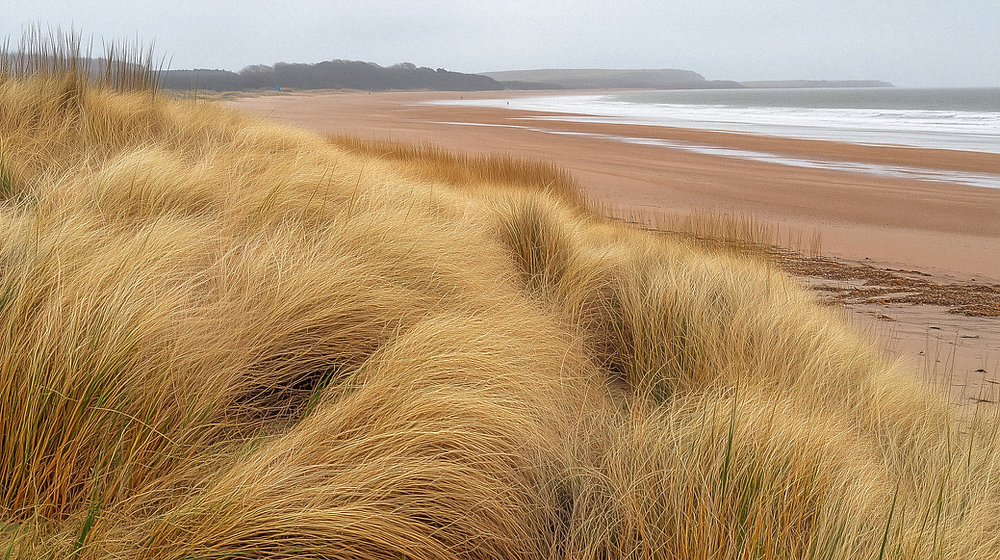 Enterprise Risk Management: Turning Uncertainty into Strategic Advantage