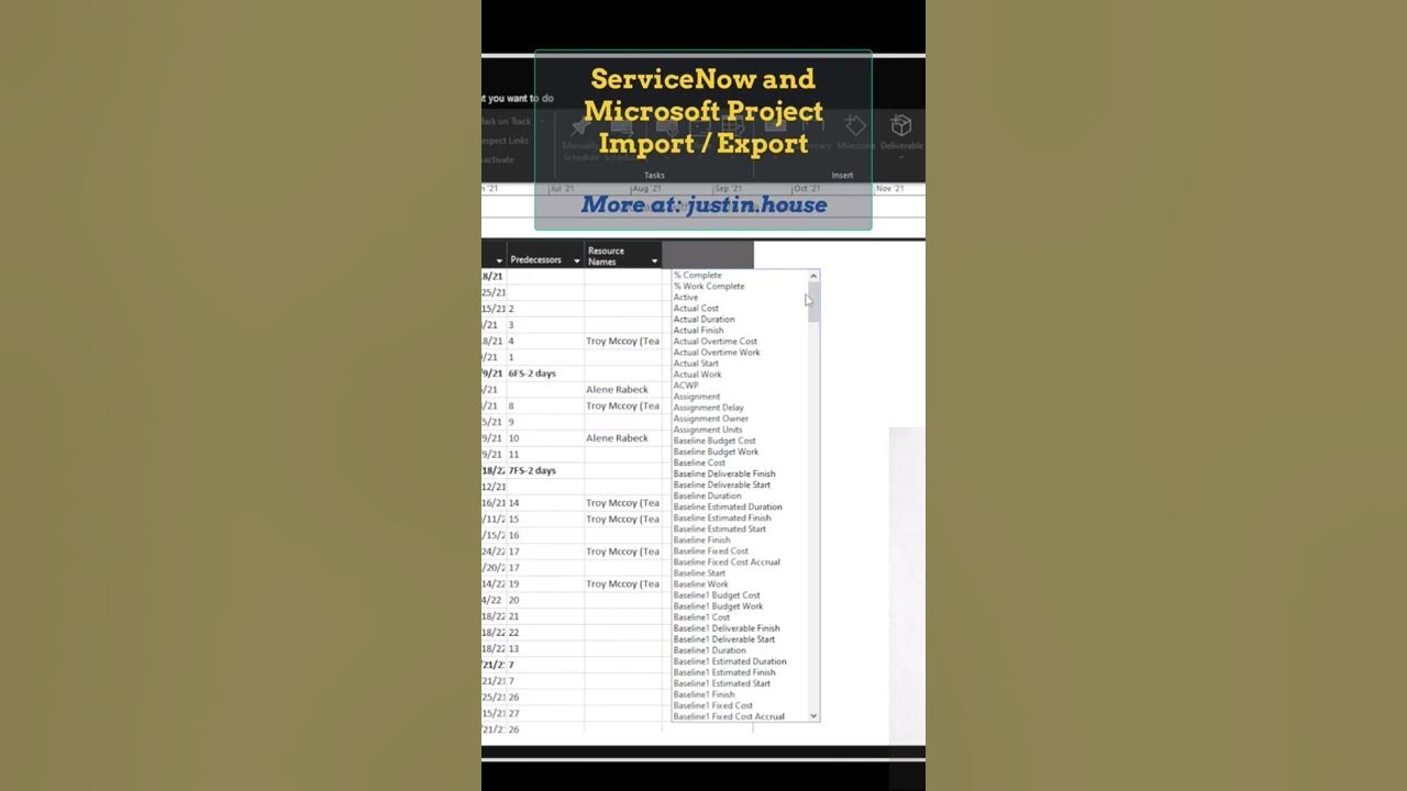 ServiceNow and Microsoft Project Import / Export