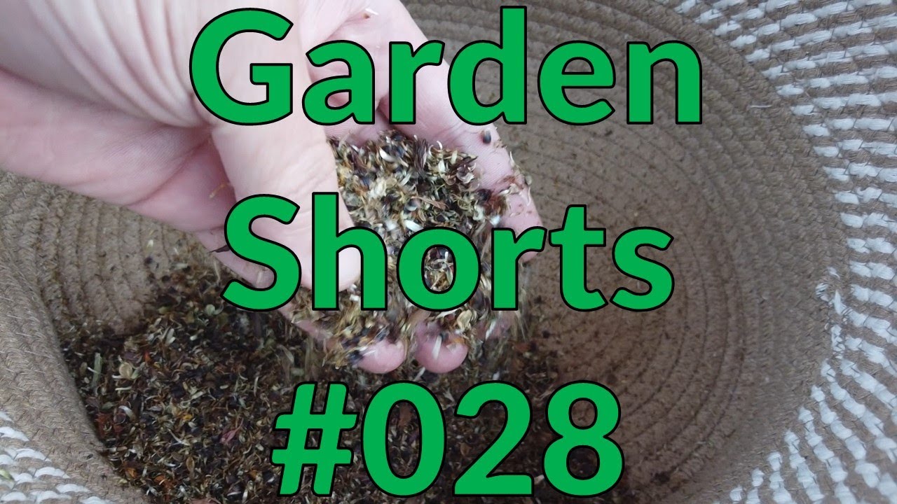 Garden Shorts 028