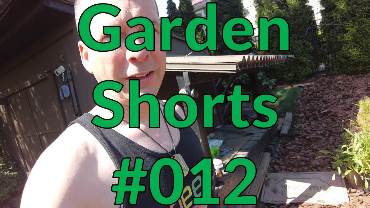 Garden Shorts 012