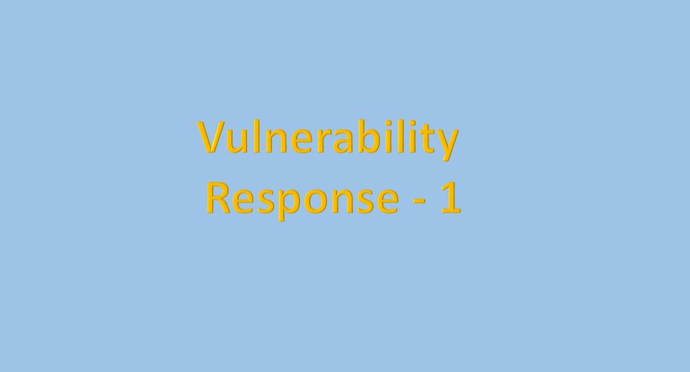 Vulnerability Response -1