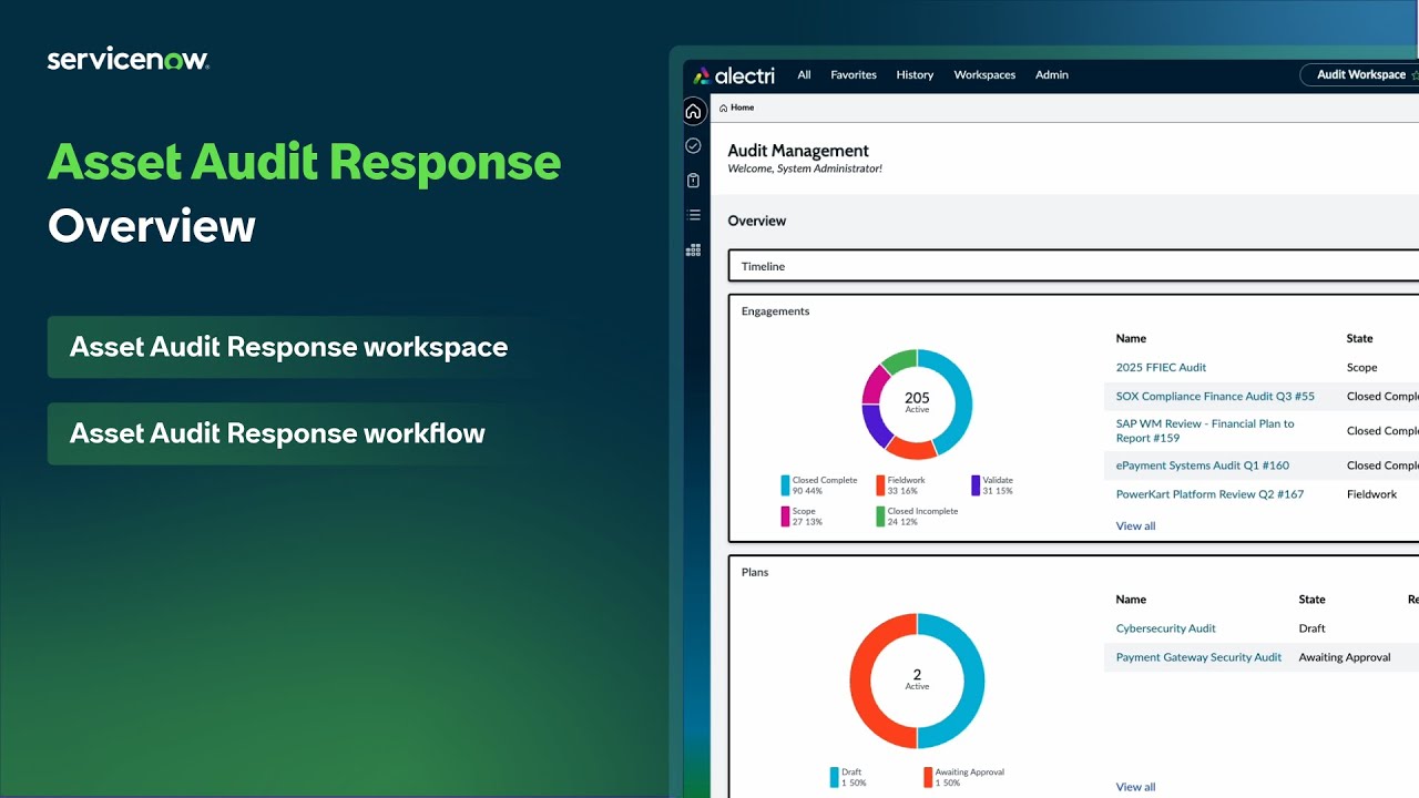 Asset Audit Response overview