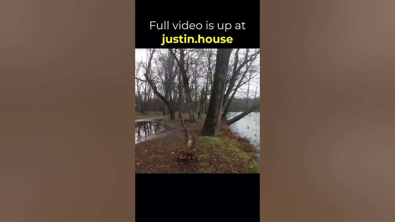 Morning Run 2022-12-07 - short #mountainlife #outdoors #running #woodfin