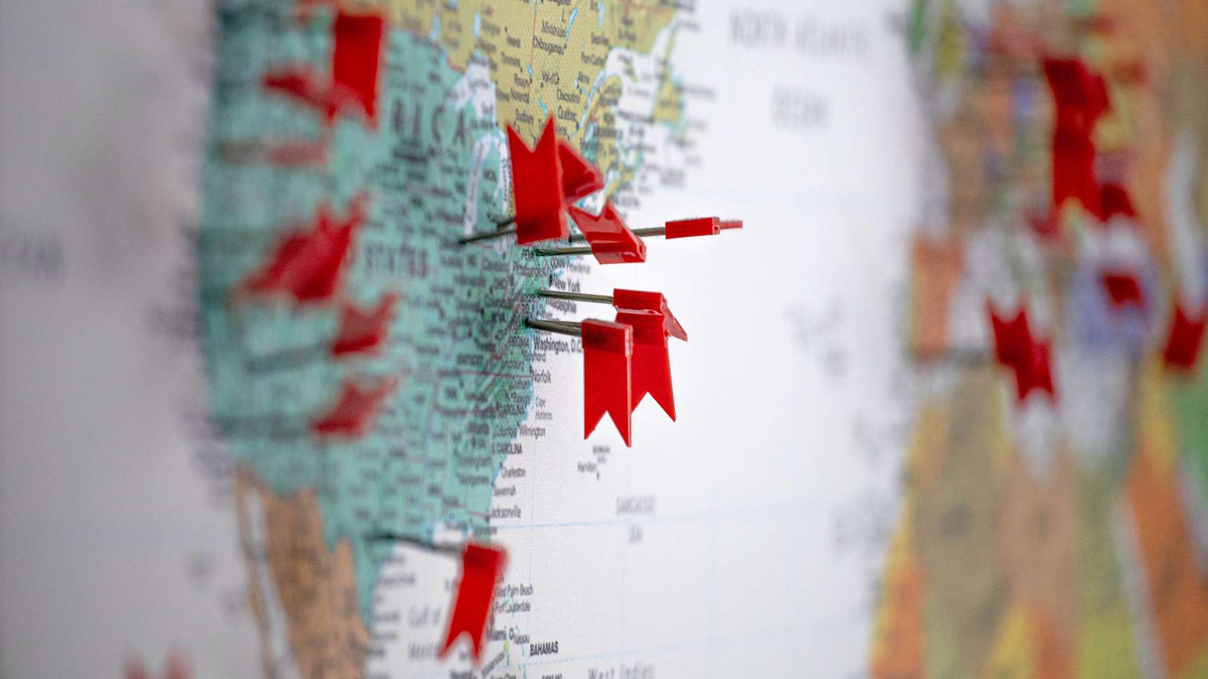 Interactive map in the portal