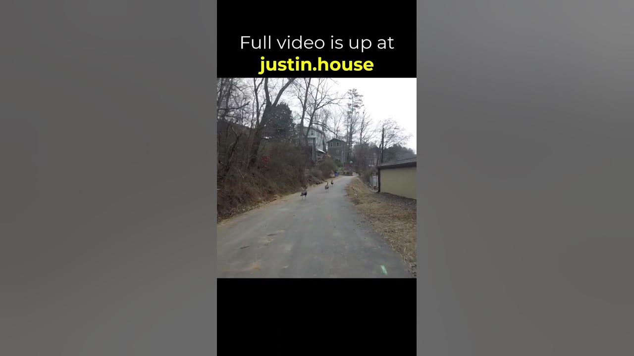 Morning Run 2023-01-16 - short #mountainlife #outdoors #running #asheville #turkeychase