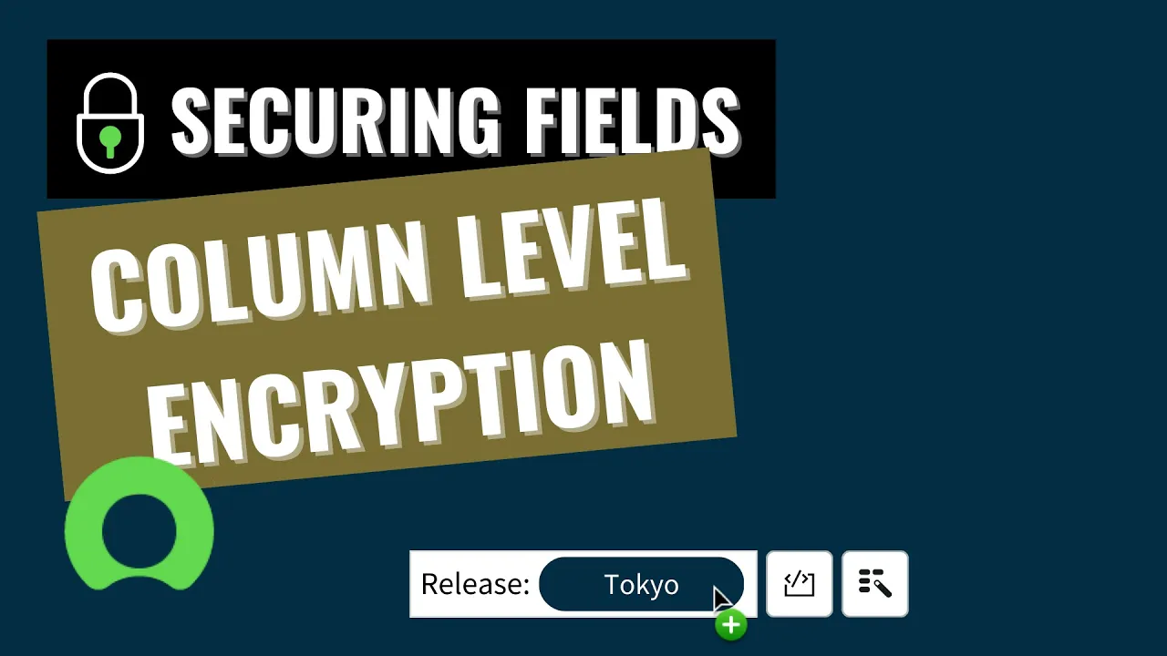 ServiceNow – Securing Fields – 7  Column Level Encryption