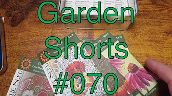 Garden Shorts 070