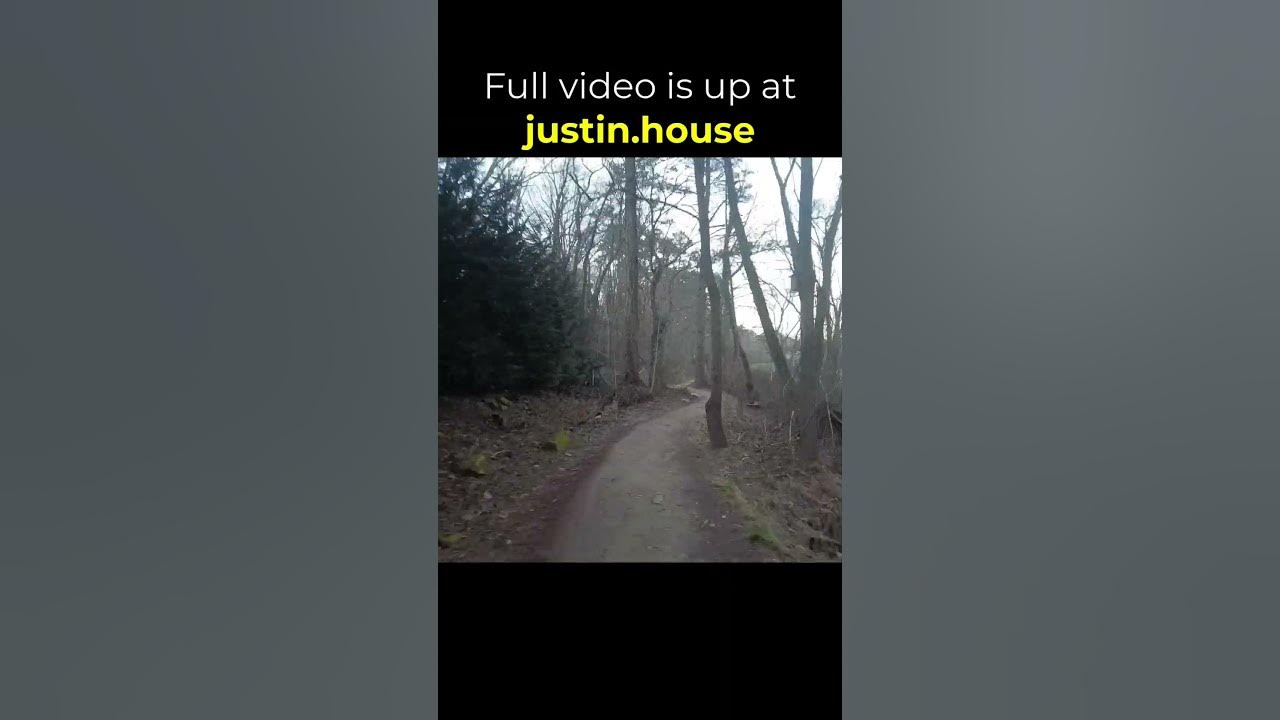 Morning Run 2023-02-14 - short #running #mountainlife #outdoors #asheville