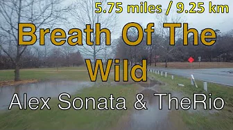 Morning Run 2023-02-17