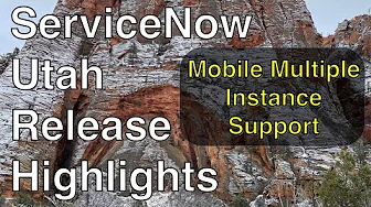 Mobile Multiple Instance Support