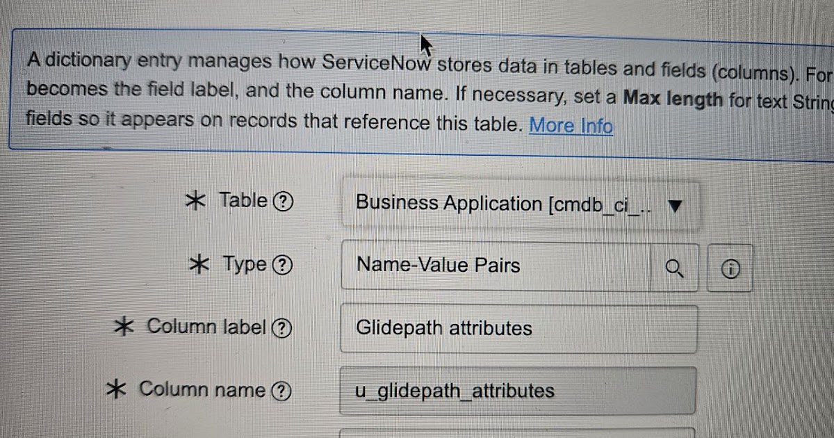 ServiceNow: using Name-Pair Fields