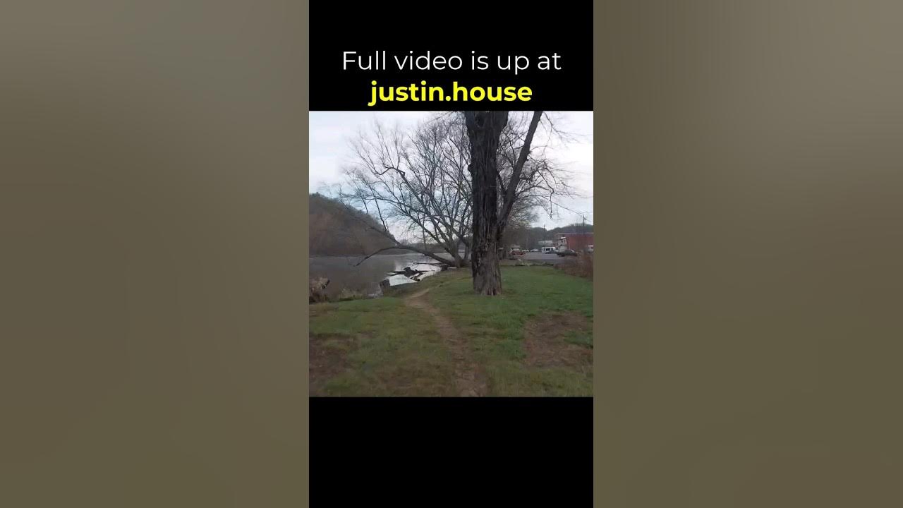 Morning Run 2023-03-01 - short #morningexercise #running #woodfin #mountainlife #outdoors