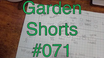Garden Shorts 071