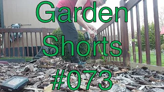 Garden Shorts 073 - Sunflower planting!