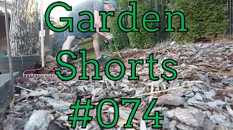 Garden Shorts 073 - Collard and Kale planting!