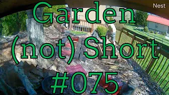 Garden Shorts 075 - Raised bed build (not short)