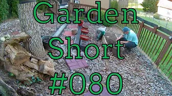 Garden Shorts 080