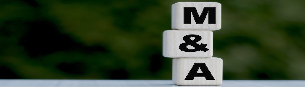 Ernst & Young (EY) Acquires ServiceNow Consulting Firm whyaye -