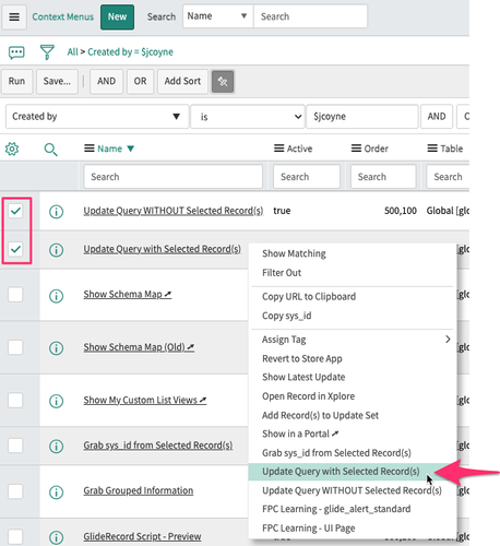 "Update Query with Selected Record(s)" Tool