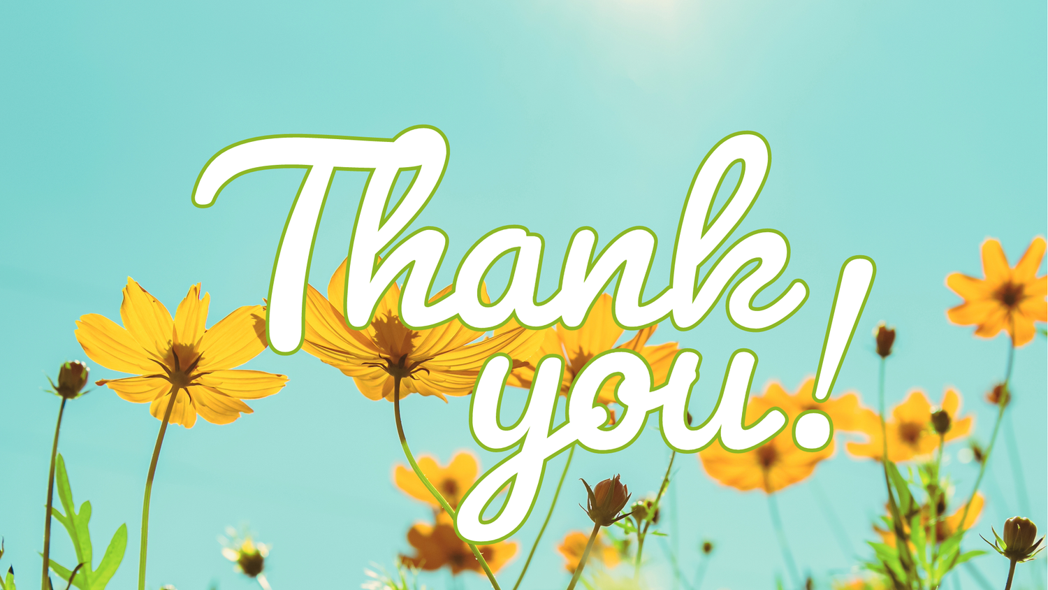 Why we have been silent