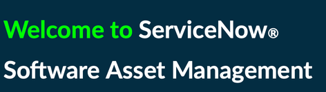 Software Asset Management: On Demand