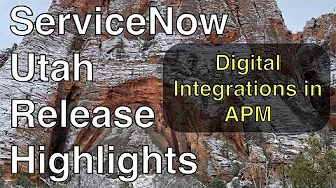 Digital Integrations in Application Portfolio Management