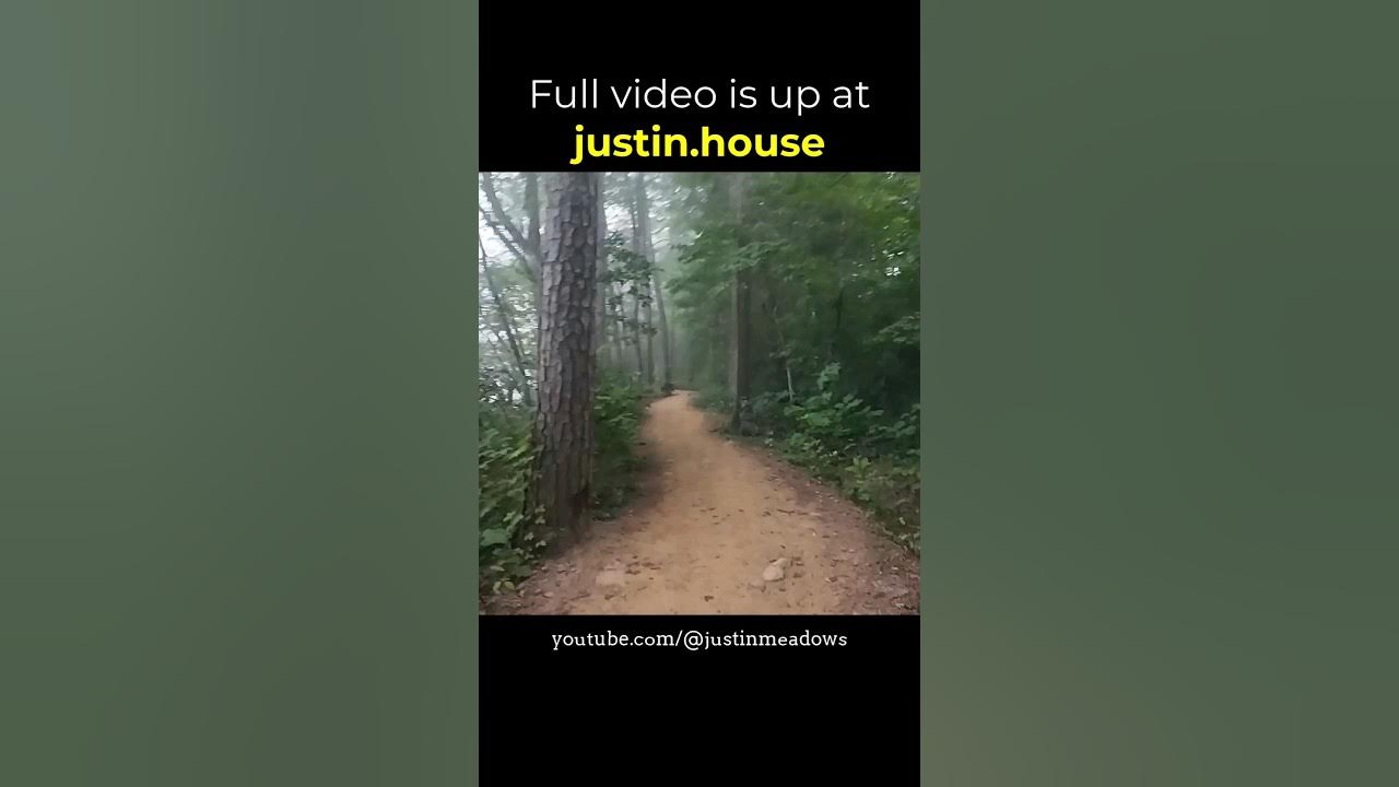 You Will See (Morning Run 2023-09-05) - short 🩳 #running #outdoors #mountainlife  #asheville