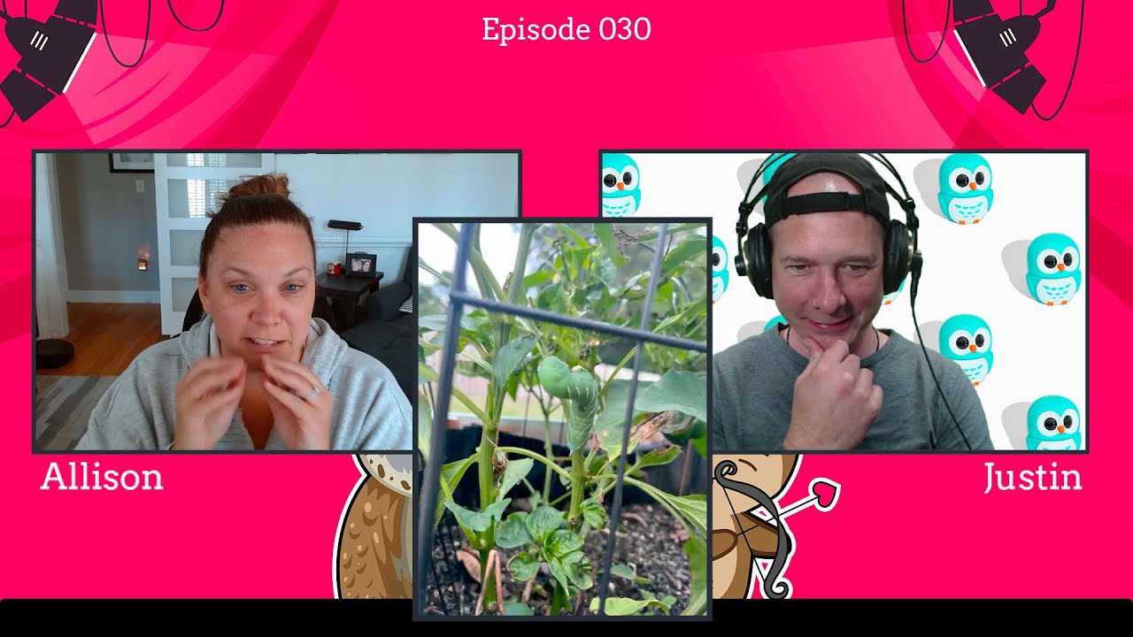 The Otterly Owlsome Podcast with Allison and Justin - #030