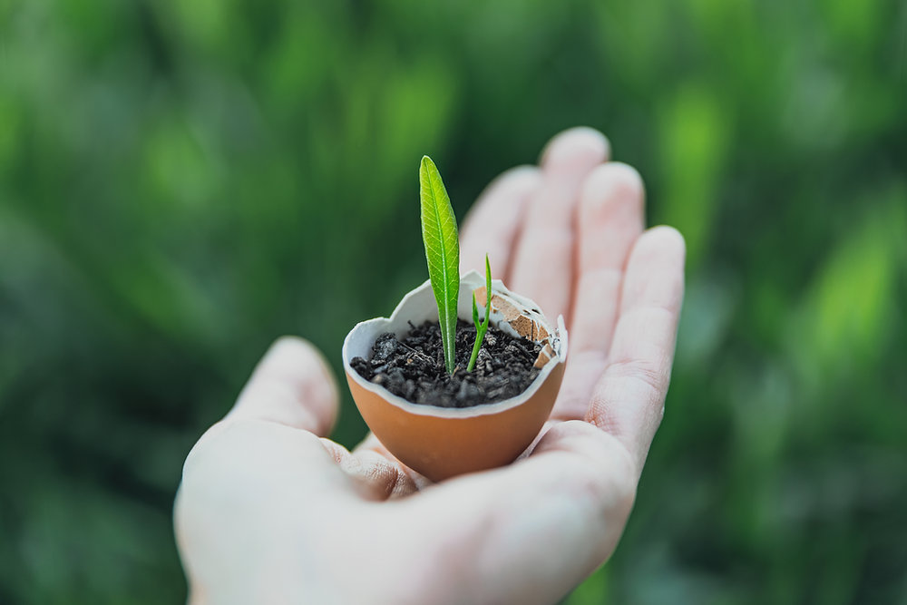 Why a Sustainability Report is important for a company?