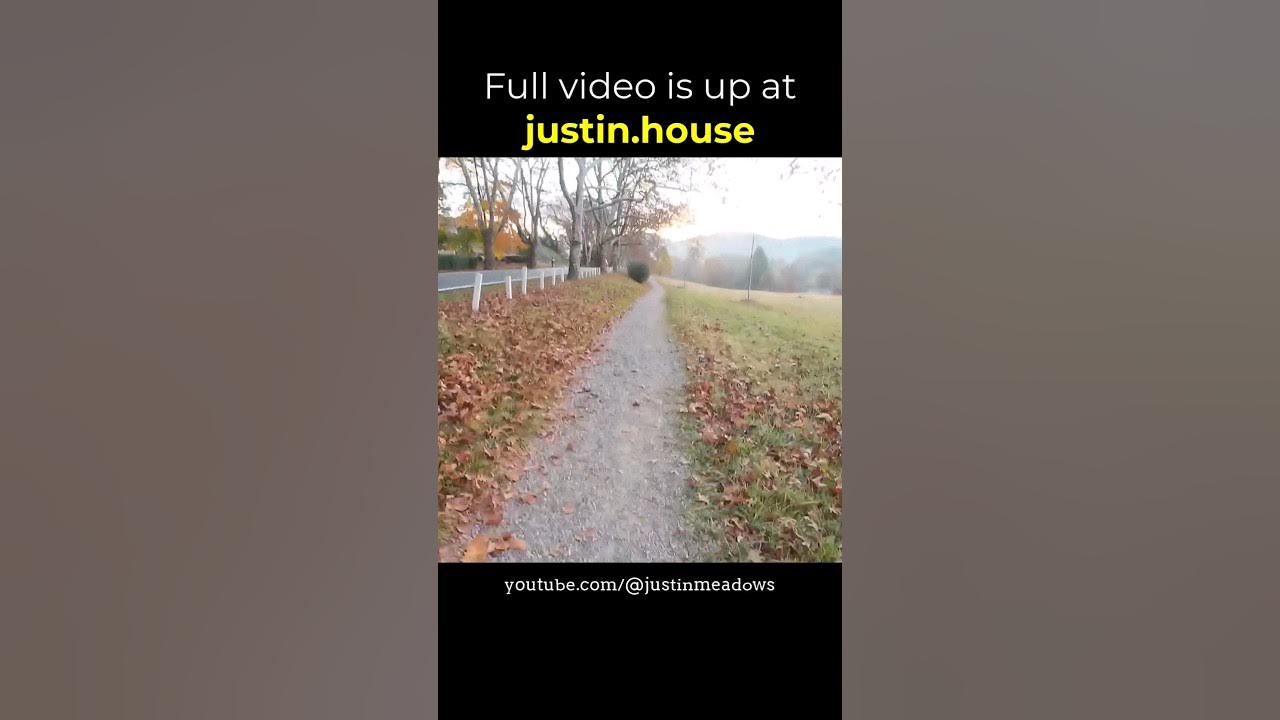 The Show (Morning Run 2023-10-30) - short 🩳 #running #outdoors #mountainlife #woodfin #asheville