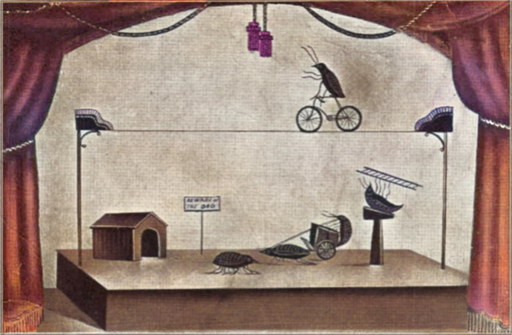 Regain controls over your ACL fleas, Part 1: Document the chaos