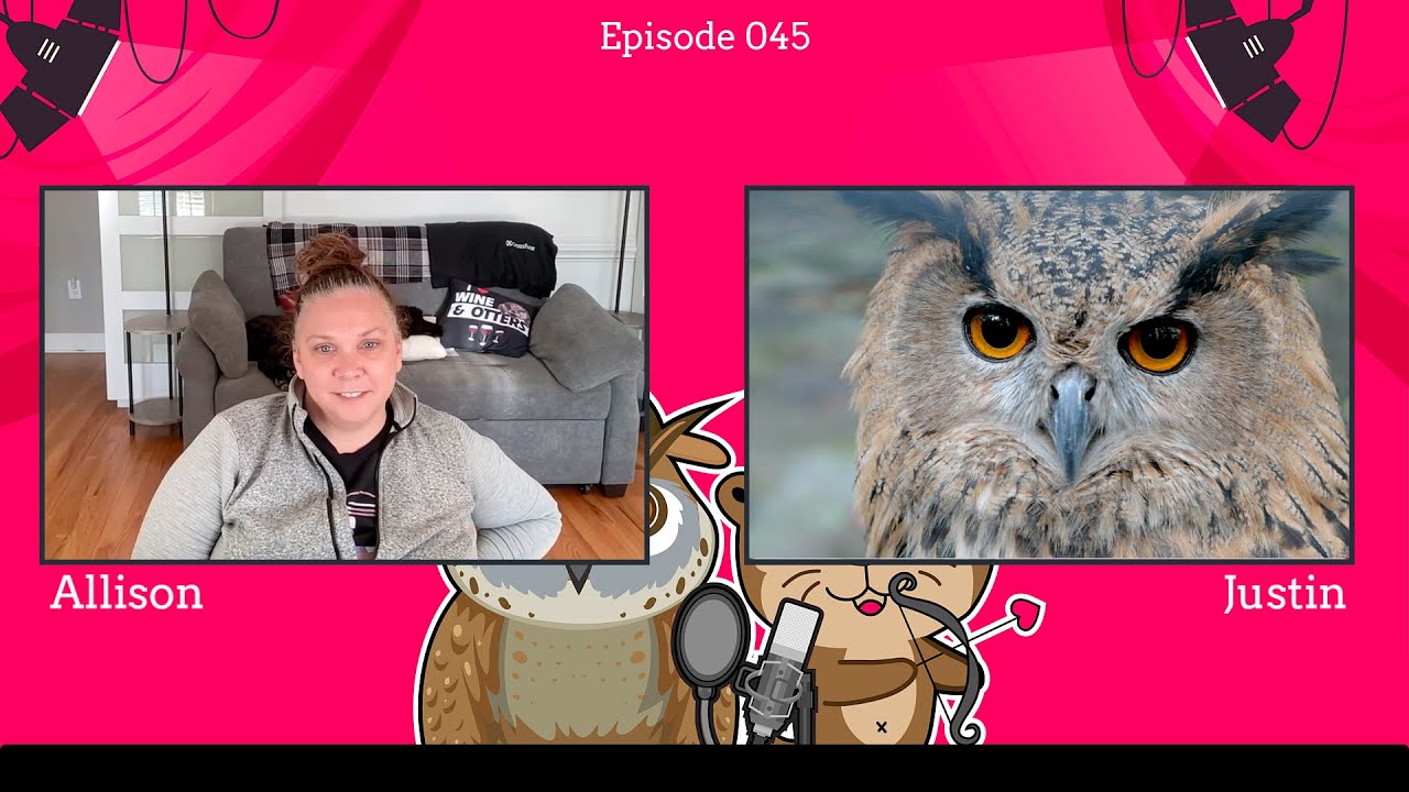 The Otterly Owlsome Podcast with Allison and Justin - #045