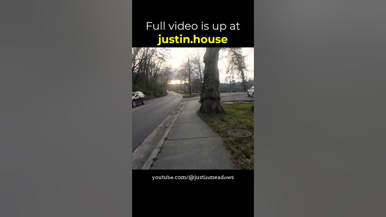 Big Sax (Morning Run 2024-03-08) - short 🩳 #running #outdoors #mountainlife