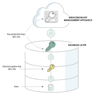 Database Encryption in ServiceNow: TSE/DBE using CCS