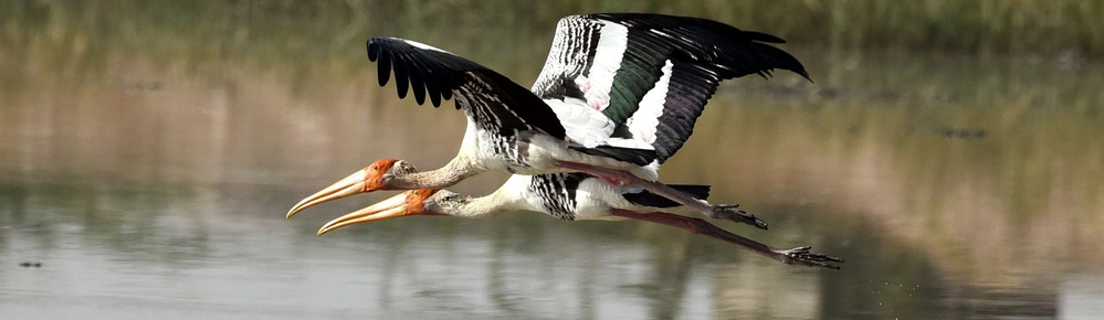 Implementation and Use Case for a Singleton Pattern in ServiceNow