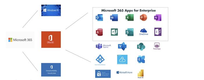Microsoft 365 licensing use cases: some advanced scenarios