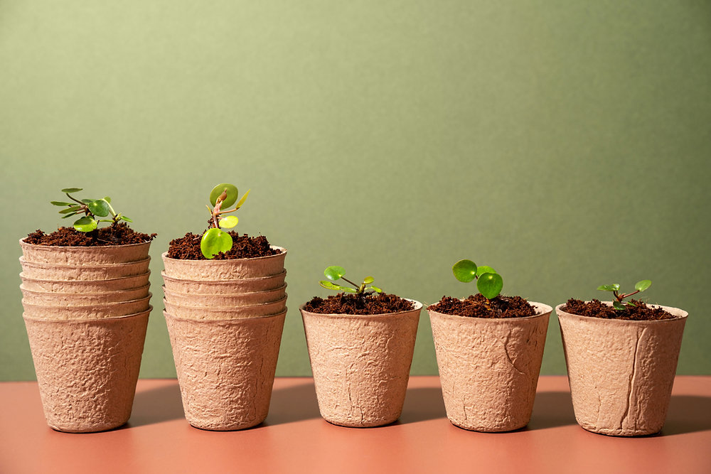 Generate Accurate Sustainability Reports using ServiceNow ESG solutions.