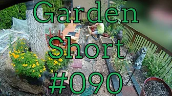 Garden Short 090 - New Raised Bed