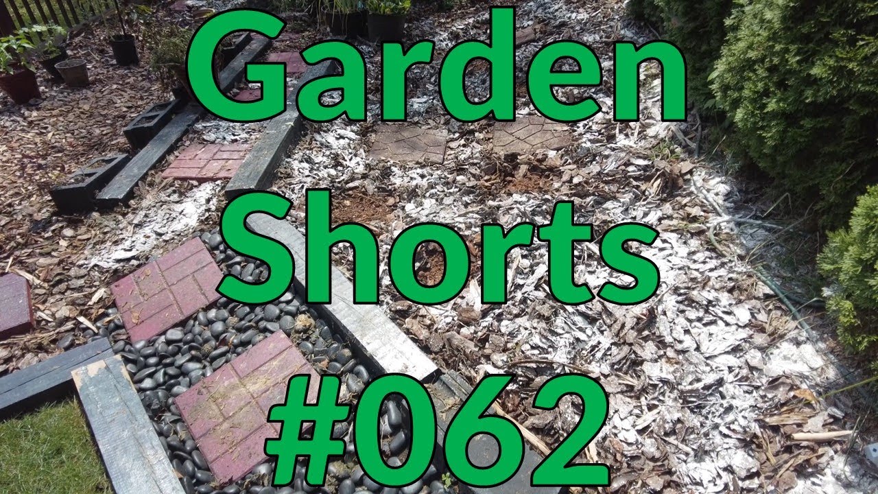 Garden Shorts 062