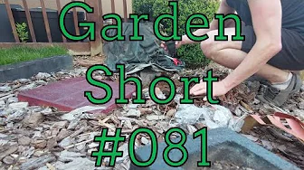 Garden Shorts 081