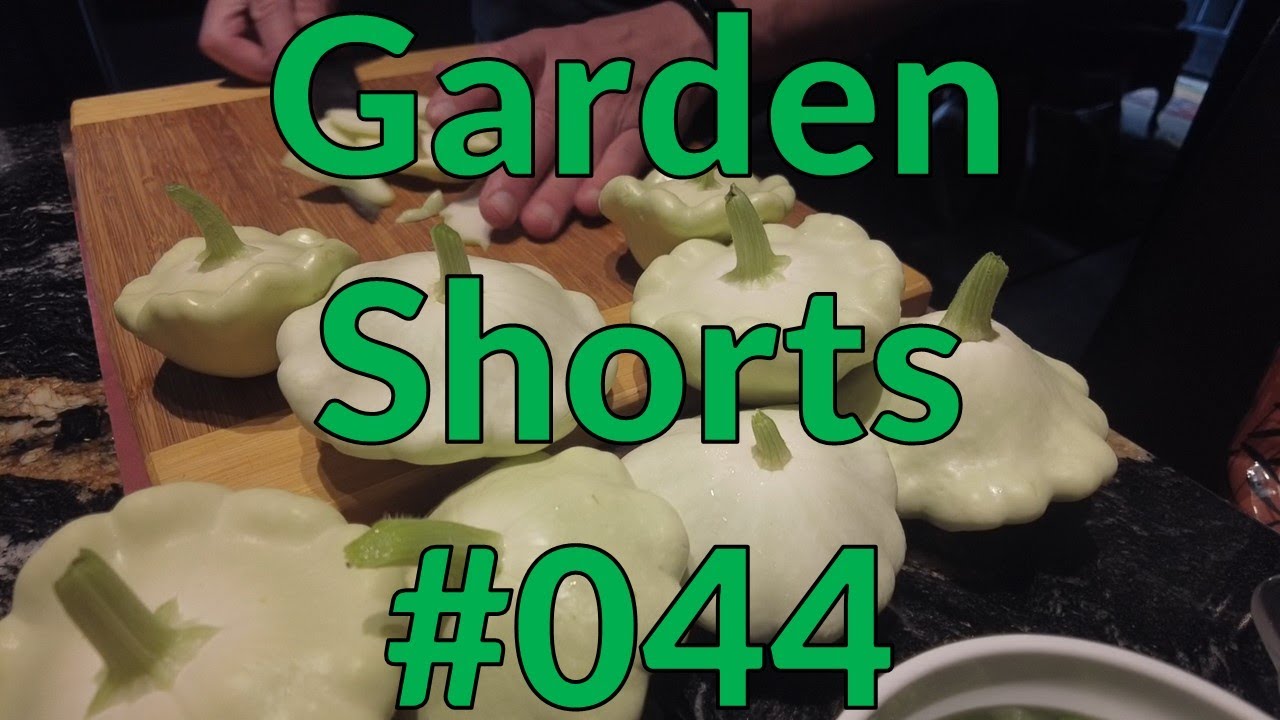 Garden Shorts 044